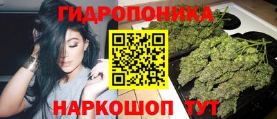 PSILOCYBIN Аша
