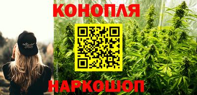 spice Баксан